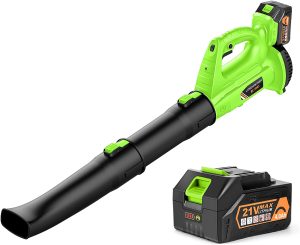Leaf blower with an electric motor