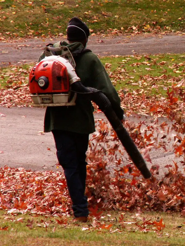 What is a leaf blower?