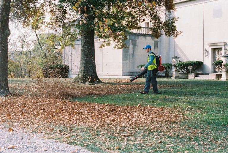 Person clearing fallen leaves with a leaf blower in a yard